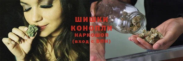 ПСИЛОЦИБИНОВЫЕ ГРИБЫ Краснослободск